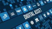 Digital Asset